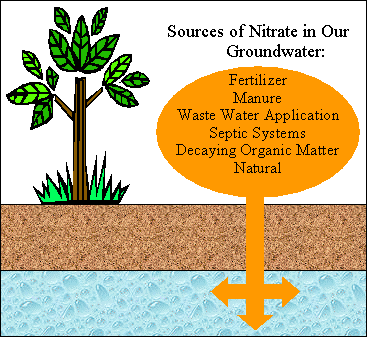 Nitrate sources- nitrate website