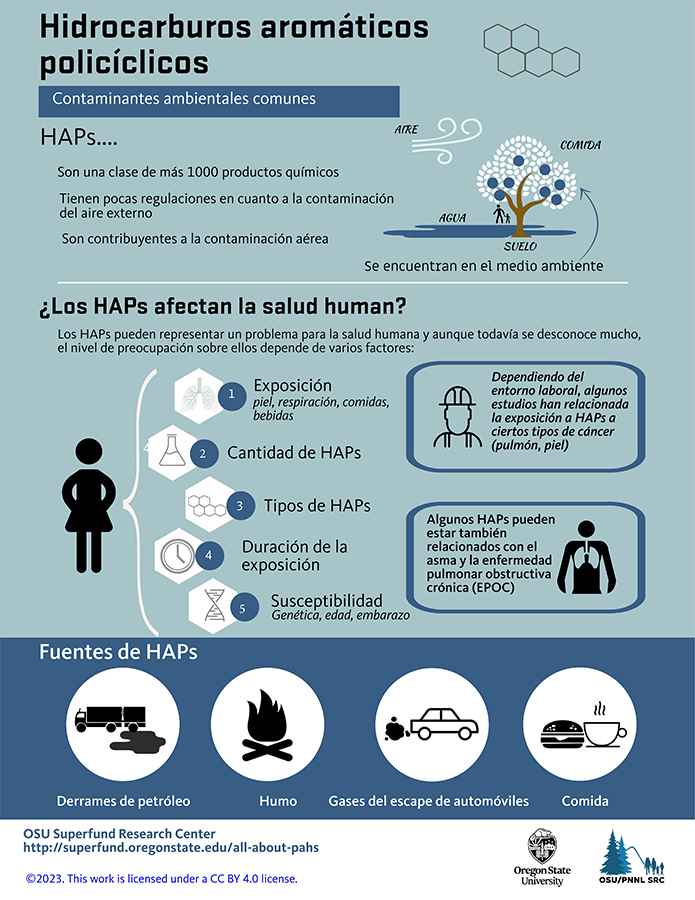 Hidrocarburos Aromaticos Policiclicos (Infographic)