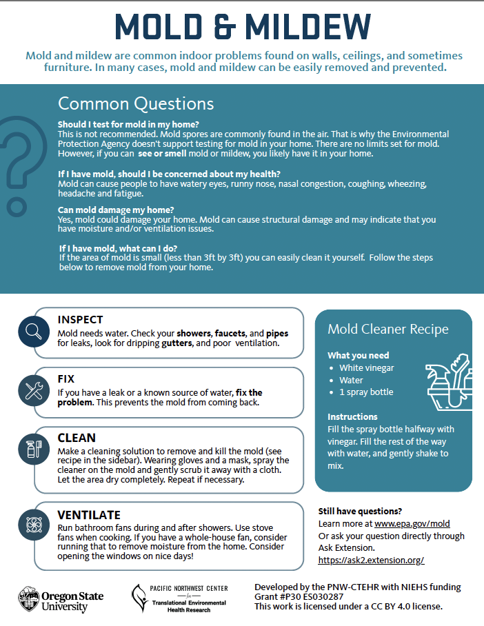 Mold and Mildew (infographic)