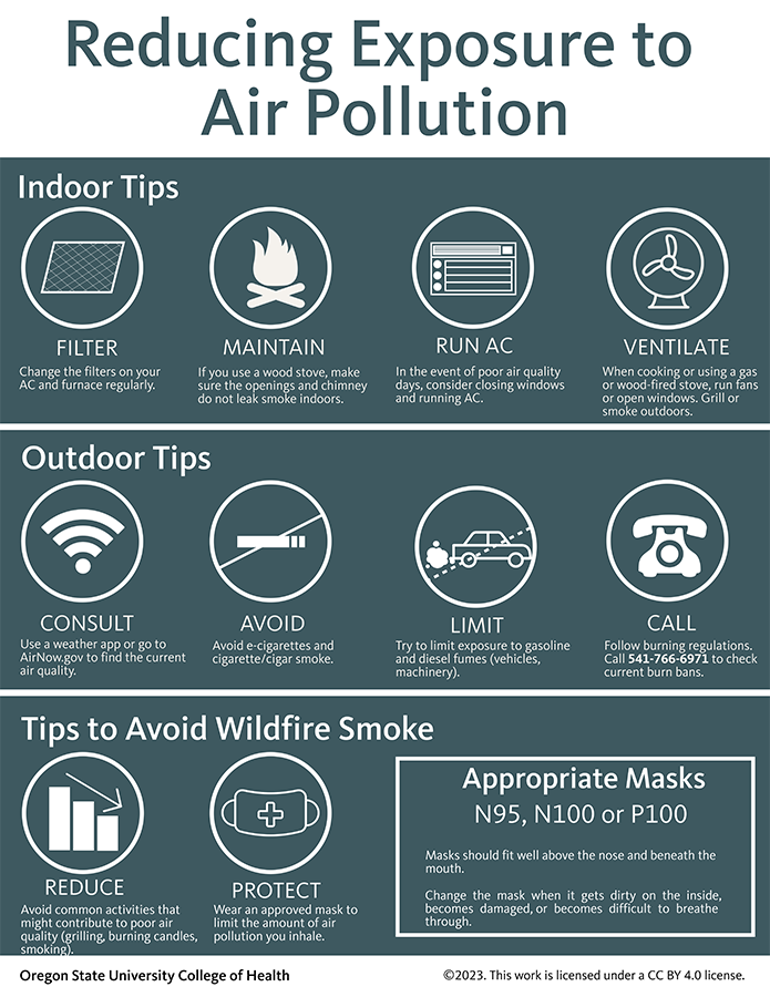 Reducing exposure to air pollution (Infographic)